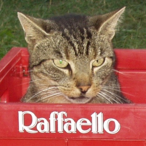 Raffaello