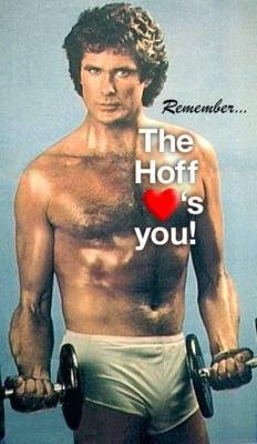 Remember_the_Hoff_Loves_You