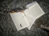 buch