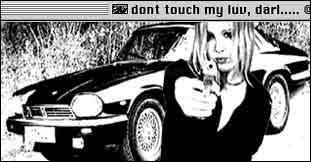dont3