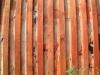 holz
