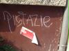 pistazie