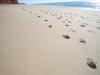 strand4