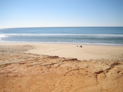strand5