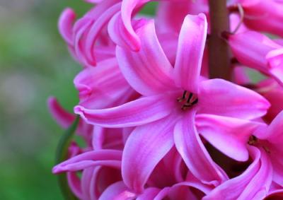 428372607_b8d19d59be