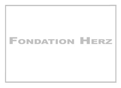 FondationHerzRahmen