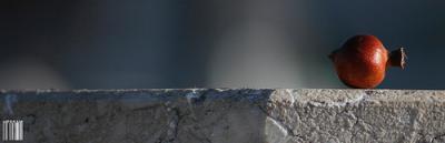 Hessam Samavatian Hessam Samavatian