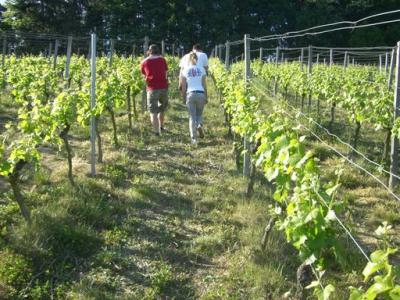 weinlage