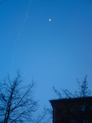 Idylle3