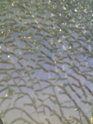 glas