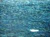 meer