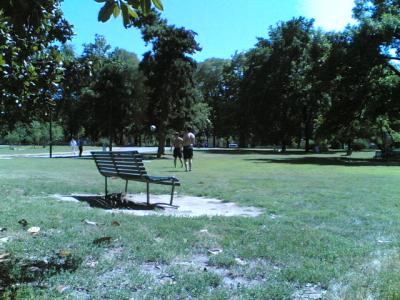 05072007-011-