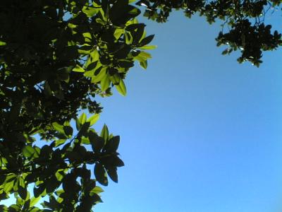 05072007-014-