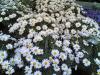 08032007-004-