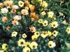 08032007-010-
