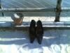 09062007-005-