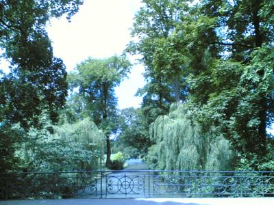 16062007-006-