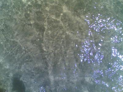 22052006-010-