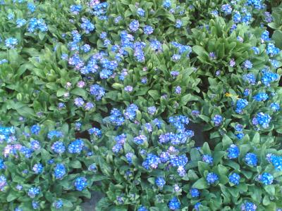 29032006-002-