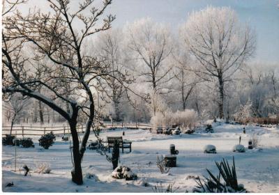 garten-im-winter