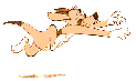 hunde_32