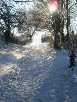 Winter 2008 Winter 2008