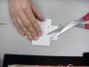 Fingerkuppe