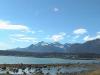 Haines