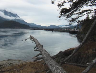 Sayward-Hafen
