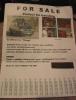 Shaggy-For-Sale-