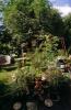 garten11
