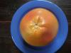 grapefruit