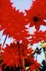 hintergrund1