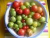 tomaten