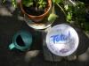 totalyoghurt