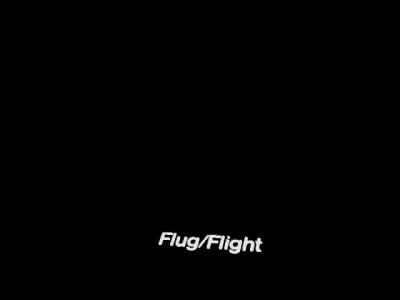 Flight