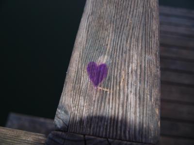 P1010340