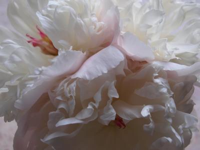 P1010974