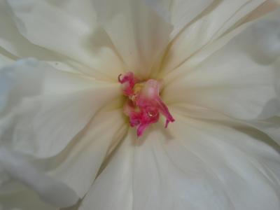 P1010980