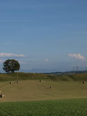 P1011621