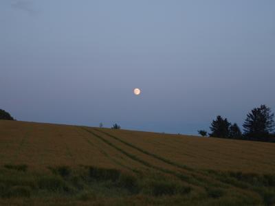 P1011780