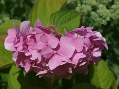 P1011957