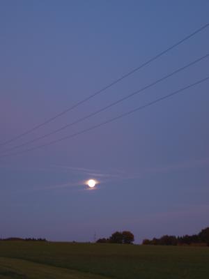 P1013341