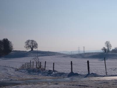P1013780