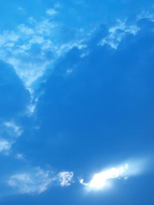 P1016560