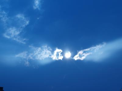 P1016565