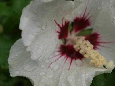 P1016961