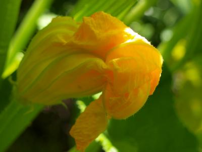 P1017029