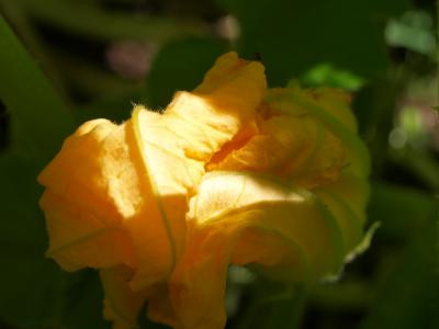 P1017030