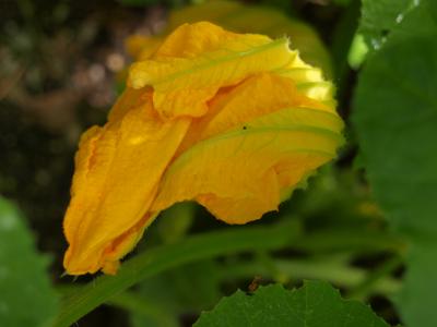 P1017063